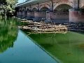 adda (78)